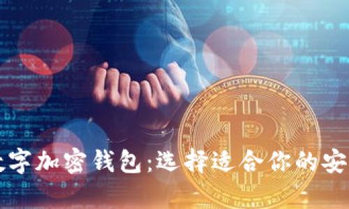 深入探讨数字加密钱包：选择适合你的安全存储方案