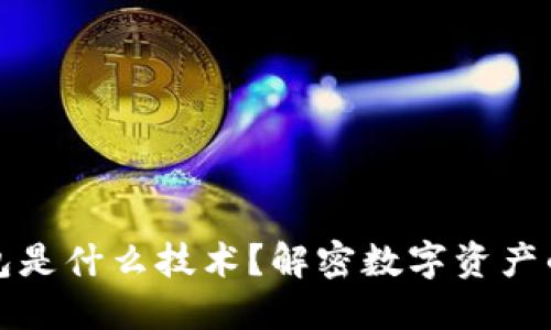 区块链钱包是什么技术?解密数字资产的安全之道