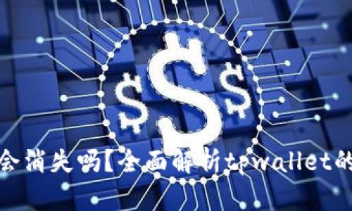 tpwallet自定义会消失吗?全面解析tpwallet的未来和用户体验