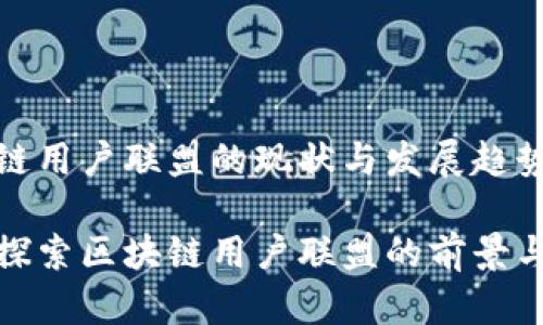 区块链用户联盟的现状与发展趋势
深度探索区块链用户联盟的前景与影响