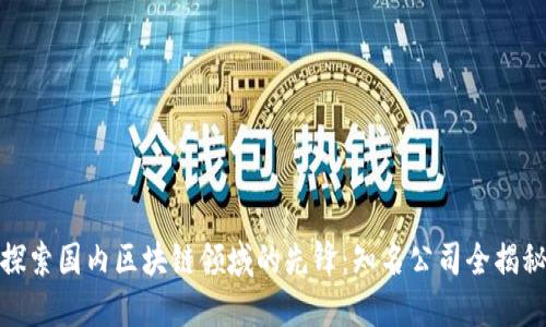 探索国内区块链领域的先锋:知名公司全揭秘