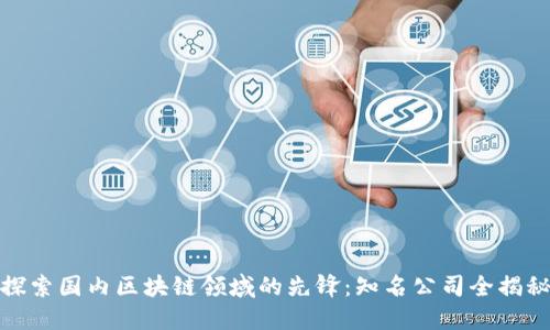 探索国内区块链领域的先锋:知名公司全揭秘
