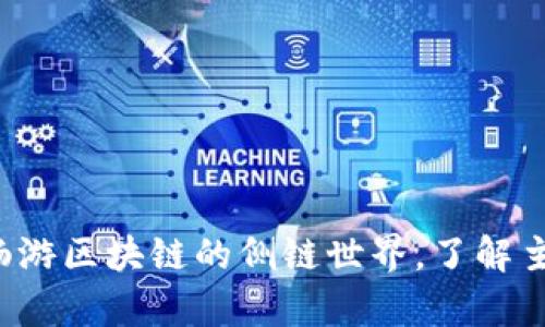 深度剖析:畅游区块链的侧链世界,了解主要侧链项目