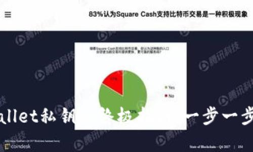 轻松找回TPWallet私钥的终极指南：一步一步教你恢复资产