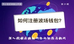 深入挖掘区块链网络的缺陷与挑战