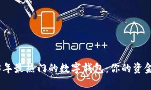 探索2023年最热门的数字钱包:你的资金安全管家