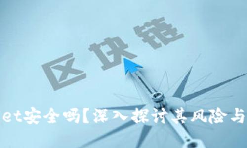 TPWallet安全吗?深入探讨其风险与安全性